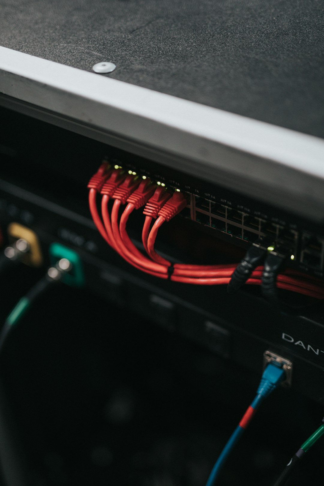Red patch cables plugged into a network switch