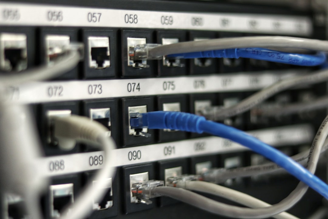Numbered patch panel with blue and grey network cables